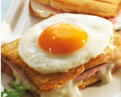 The panini grill The panini grill